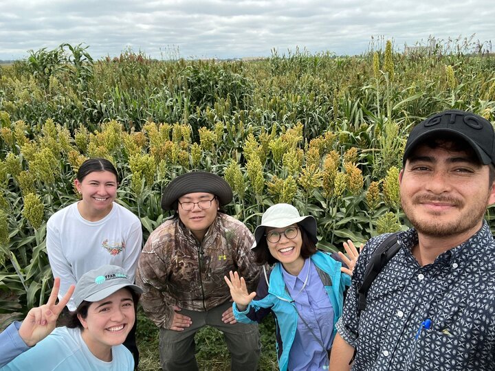 field p