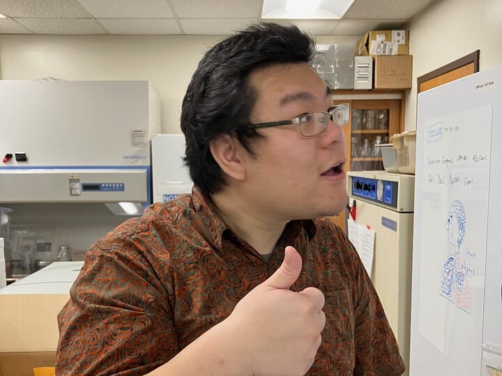 dr fang